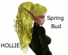 Hollie - Spring Bud