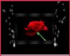 *AE* Red Rose picture