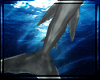 Shark Fin Tail Merman