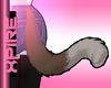 Brown Neko Tail