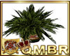QMBR FIE Planter