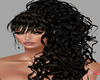 HAIR - BLACK - G96