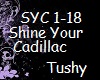 Shine Your Cadillac