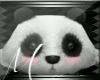 K: Panda Pet