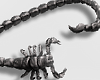 Necklaces Scorpion