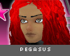 [V4NY] Pegasus Fire