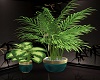 Lux Plants