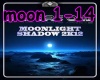 moonlight shadow rmx