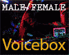 Sexy DJ Voicebox  F/M
