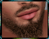 Realistic Beard Brown
