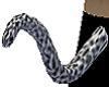(k) white leopard tail