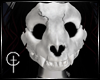 [CVT]Feral Feline Skull
