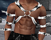 Animated Silver Harness