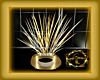 DW GOLDEN ANI PLANT