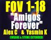 /Amigos forever /REMIX/