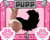 🐾 Black Pup Tail