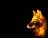 Fire Wolf