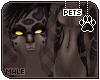 [Pets]Apollo |abless fur
