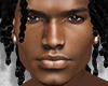 ELWOOD Head | Asteri