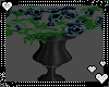Classique Vase w/roses