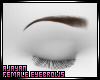 ♀ Eyebrows LBN V2