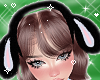 Cute Fur Bunny