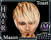 [zllz]M Mason BlondBrown