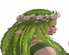 water lily hair
