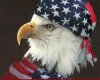 american eagle 5