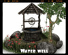 *Water Well