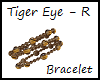 Tiger Eye Bracelet - R