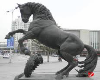 {M}Horse Statue