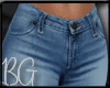 -BG- Perfect Jeans RL DK