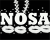 ~22R~NOSA'S NAME
