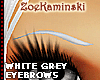 ~ Grey White EYEBROWS 2 