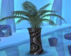Palm in Vase