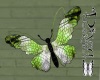 Spring Butterfly Decor