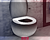 2G3. 2075 Toilet