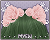 ✩ Nopal Flowers