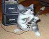 guitar cat animated