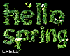Hello Spring Sign