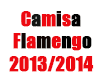 Cam. Flamengo e Voice