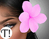 T! Dreamy Pink Bundle