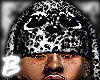 𝕭 . Snow Leopard