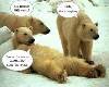Funny Polar Bears