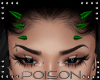 |P| Green Horns x6