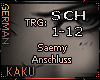 SAEMY - Anschluss