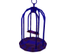 Blue Bird Cage