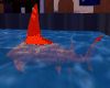 Orange Flaming Shark