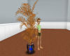 zteriz_Plant01